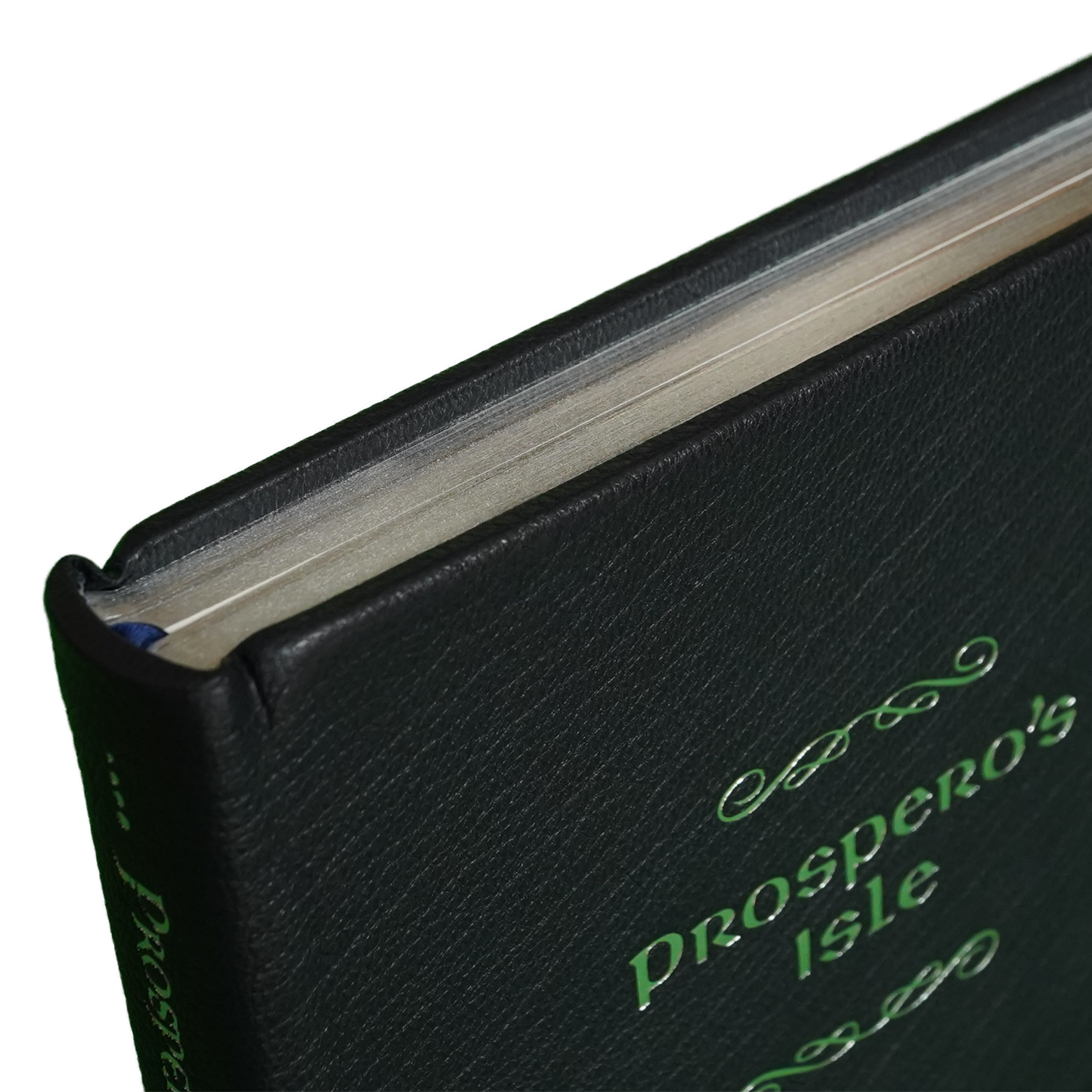 Prospero's Isle by John Callow