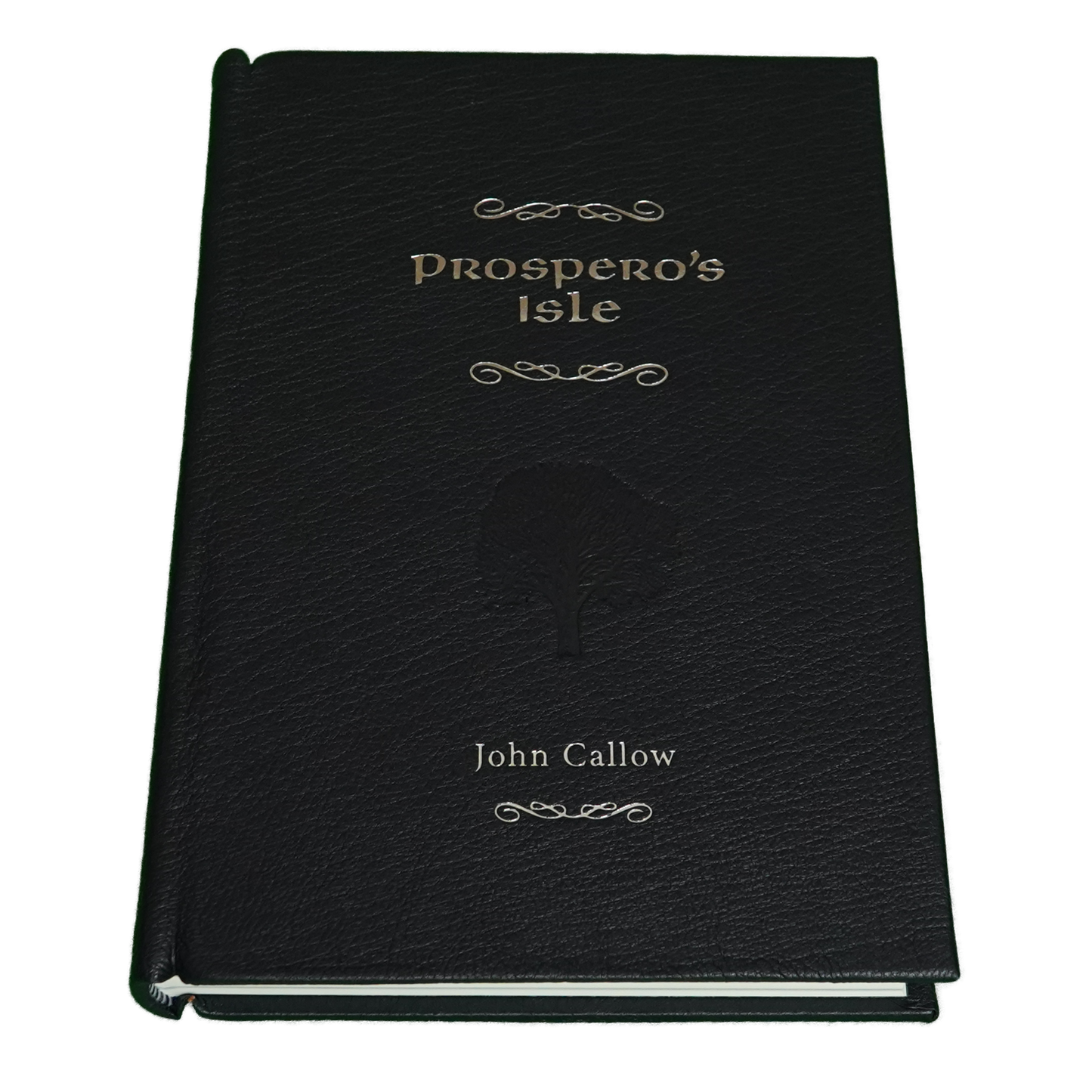 Prospero's Isle by John Callow