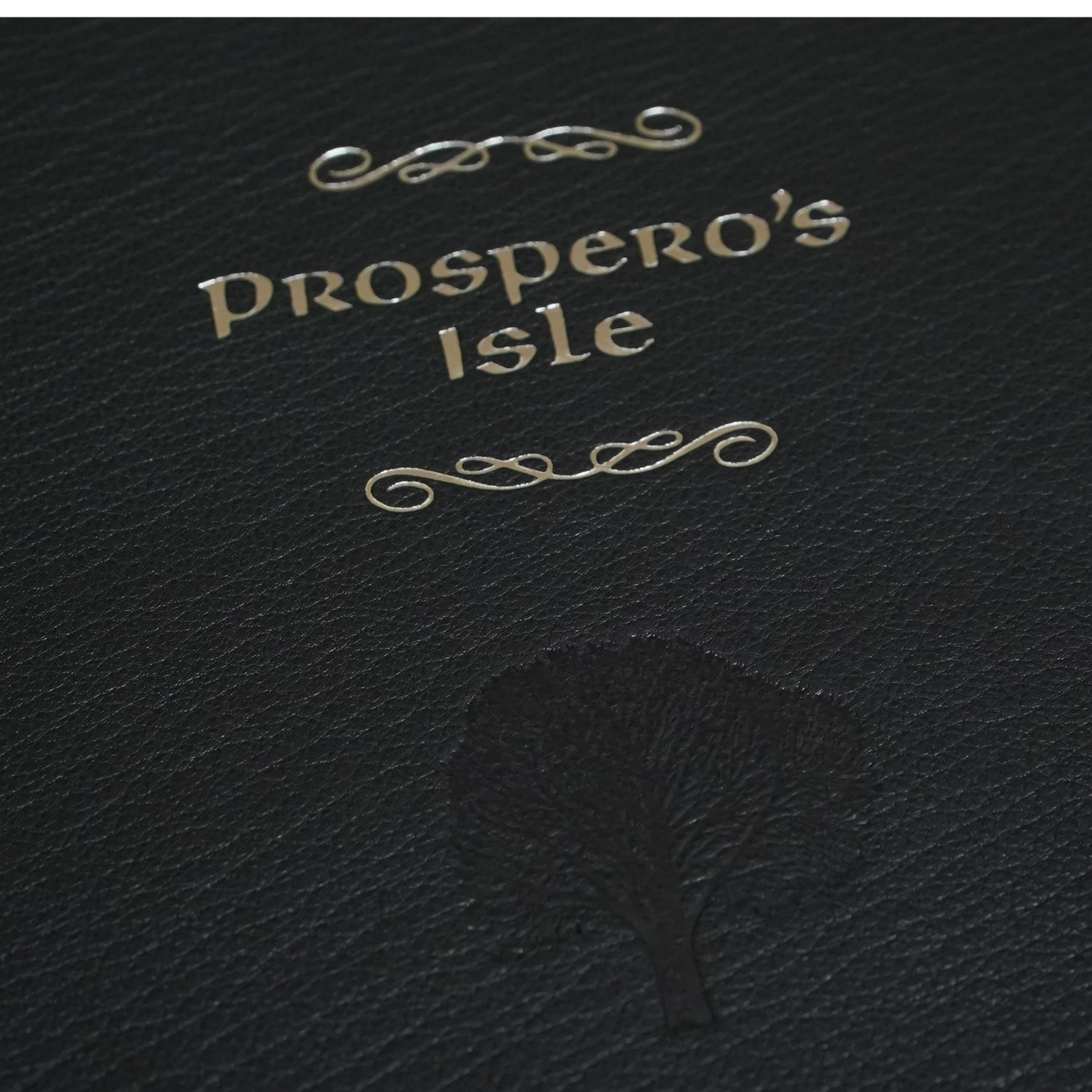 Prospero's Isle by John Callow