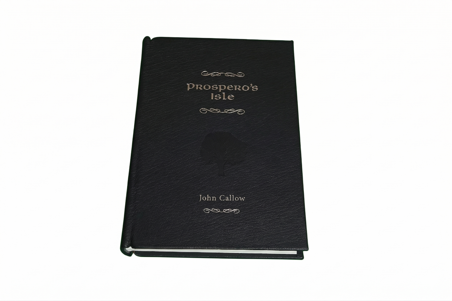 Prospero's Isle by John Callow