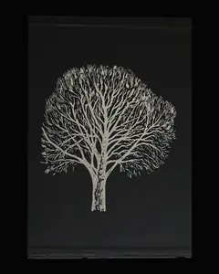 The Fine edition's slipcase, with a silver tree
